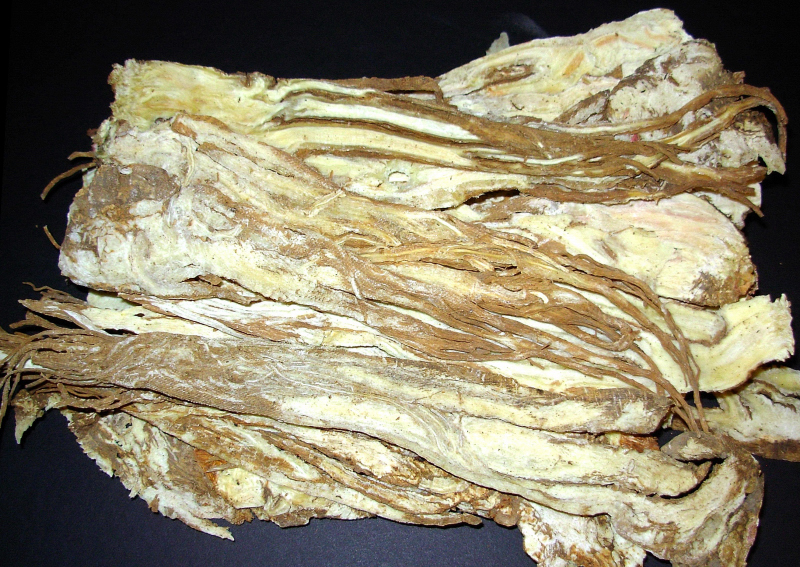 Dang Gui - Chinese Angelica Root