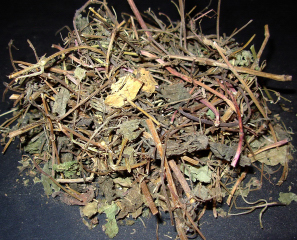 Tou Gu Cao - Speranskia Tuberculata - Penetrate the Bone Herb(Grass)